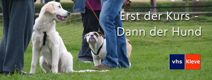 Erst der Kurs Dann der Hund (VHS Kleve) (3/4) educanis Hundetraining