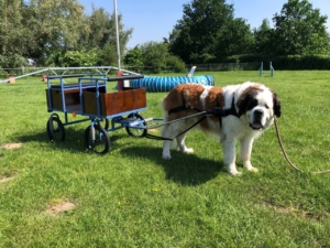 photo_10_2026-01-21_12-23-43