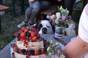 photo_11_2026-01-21_12-23-43