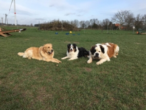 photo_12_2026-01-21_12-23-43