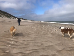 photo_2_2026-01-21_12-23-43