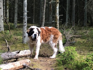 photo_3_2026-01-21_12-23-43