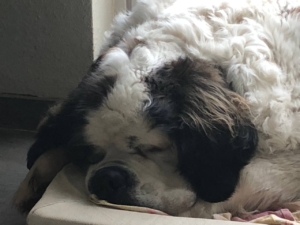 photo_4_2026-01-21_12-23-43