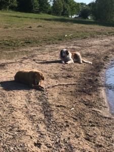 photo_5_2026-01-21_12-23-43