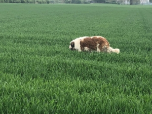 photo_6_2026-01-21_12-23-43