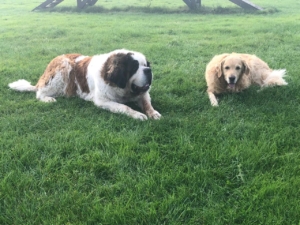 photo_7_2026-01-21_12-23-43