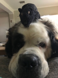 photo_9_2026-01-21_12-23-43